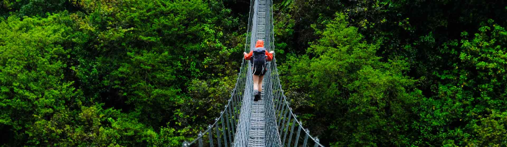 Hiker on extremely long bridge over the tops of the forest trees