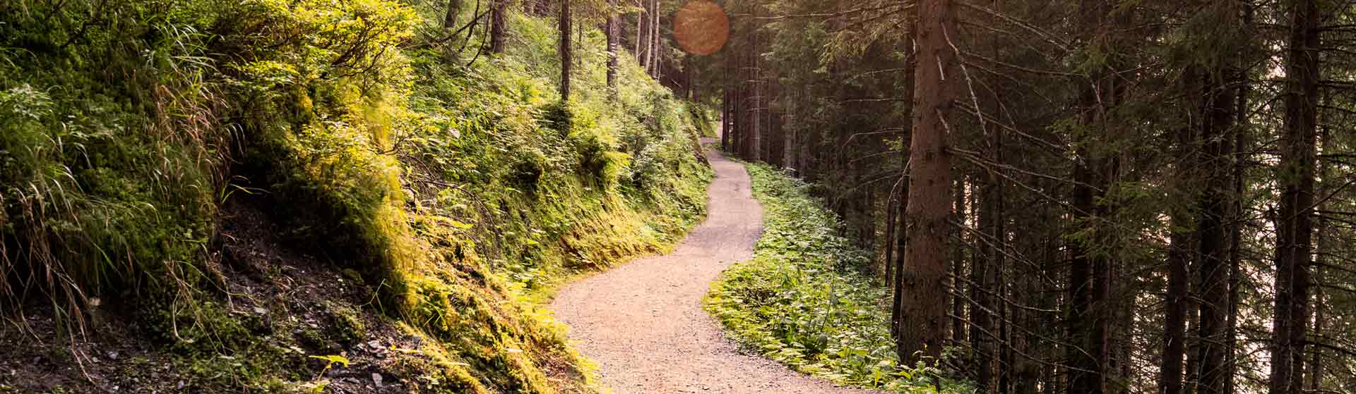 Winding trail through the woods and hills